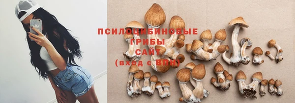 ГАЛЛЮЦИНОГЕННЫЕ ГРИБЫ Алзамай