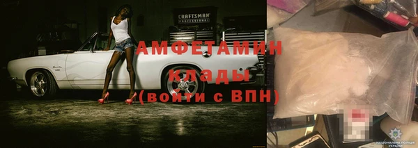 ГАЛЛЮЦИНОГЕННЫЕ ГРИБЫ Алзамай
