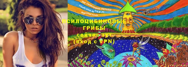 кокс Алексеевка