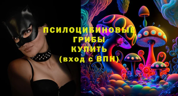 ГАЛЛЮЦИНОГЕННЫЕ ГРИБЫ Алзамай